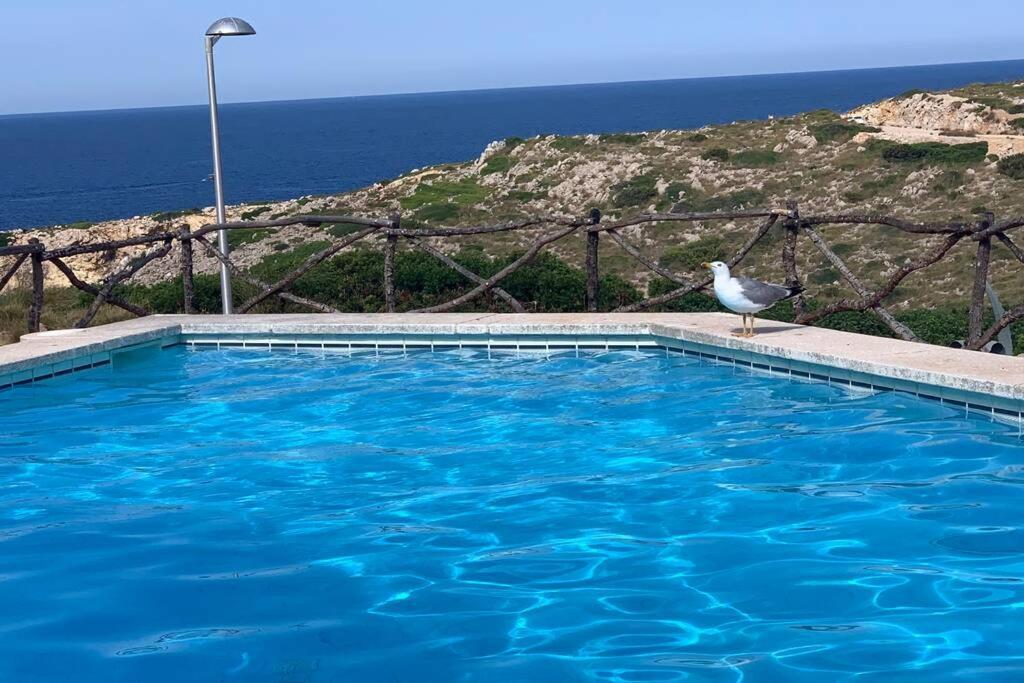 Apartamento A Estrenar Con Vistas Al Mar. سون بارك المظهر الخارجي الصورة